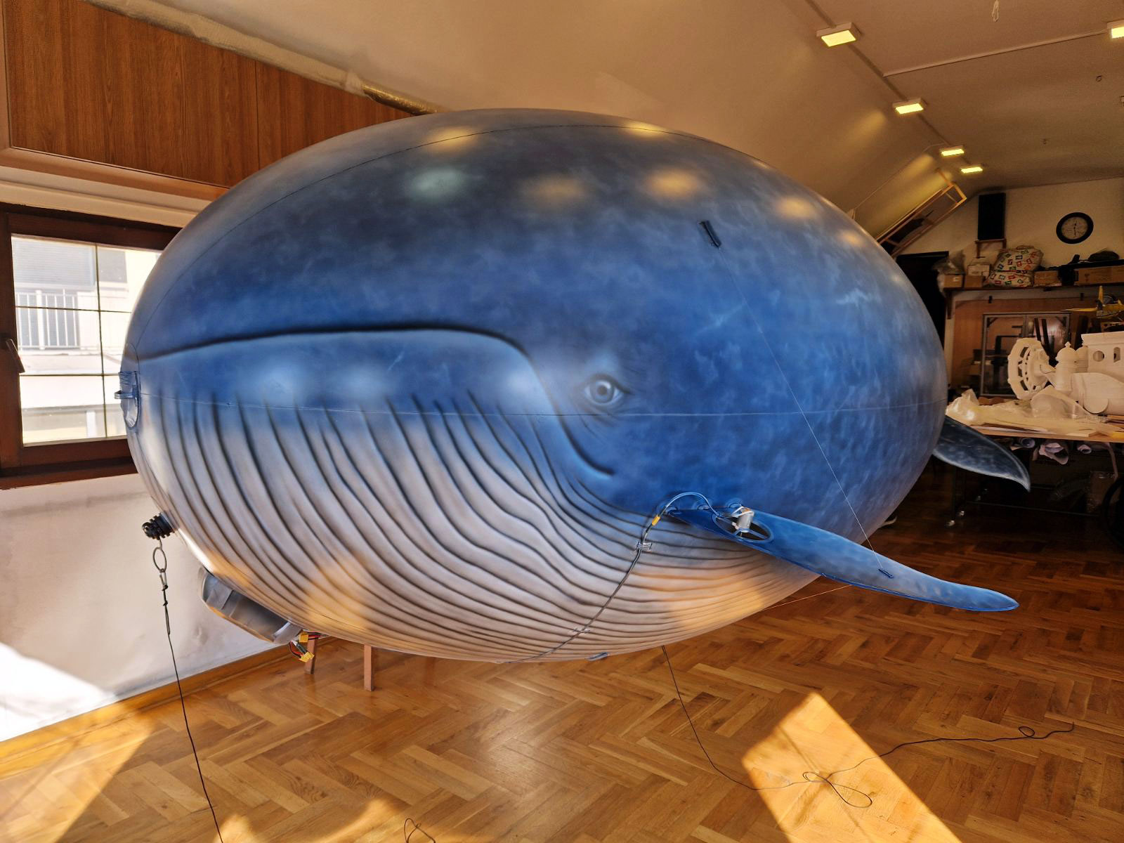 Whale-RC-Blimp-front-view
																														   